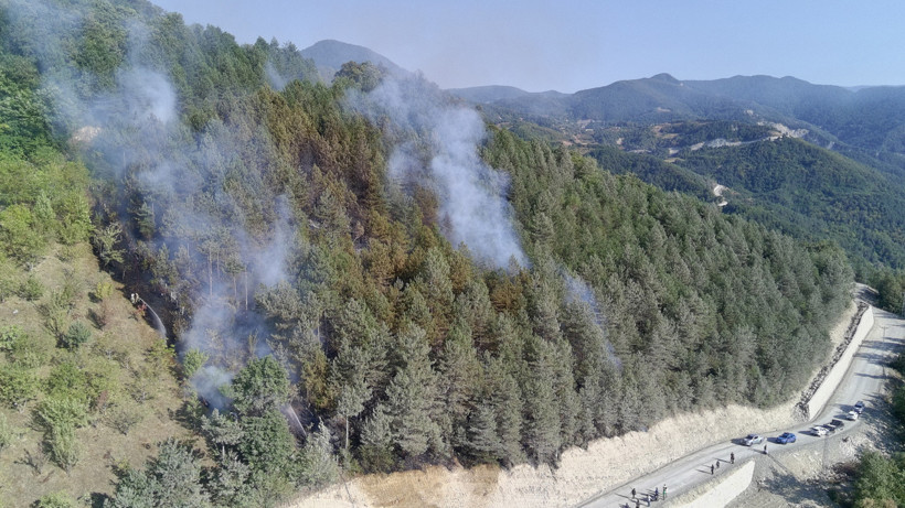 Sinop'ta Orman Yangını