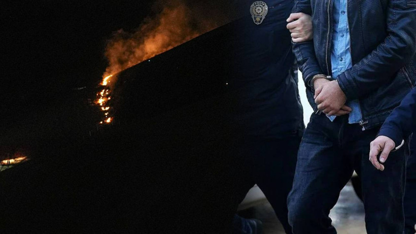 Ankara'daki Orman Yangınında 2 Gözaltı! Valilik Açıklama Yaptı