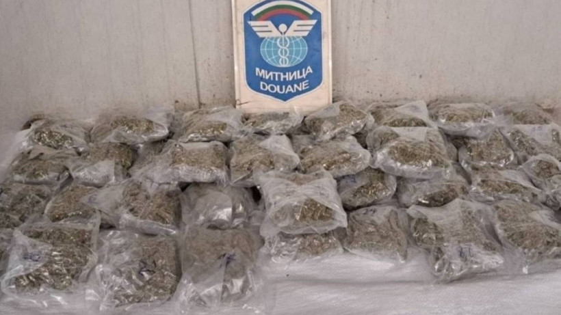 Narkotik Köpeği Raya Buldu! Tüp Gazın İçinden 47 Paket Esrar Çıktı