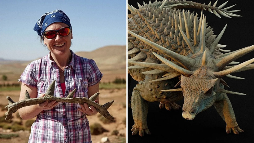 Fas'ta Şaşırtan Dinozor Fosili: Hem Zırhlı Hem Silahlı