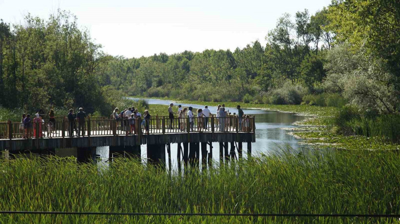 'Turizmin Parlayan Yıldızı'na Ziyaretçi Akını! Acarlar Longozu Tabiat Parkı 150 Bin Kişi Ağırladı