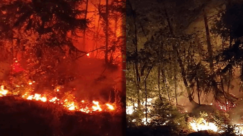 Düzce'de Bir Günde İkinci Orman Yangını