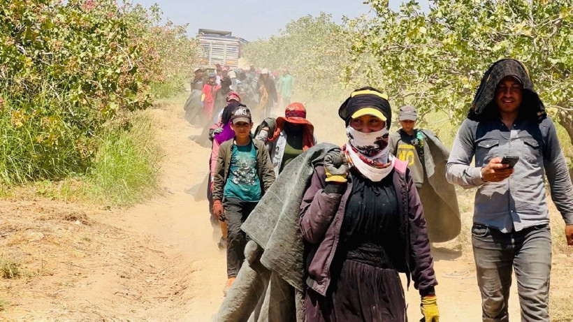 Dudak Uçuklatan Zam! Fiyatı Yüzde 500 Birden Arttı! "Kazancınızdan Fedakarlık Yapın"