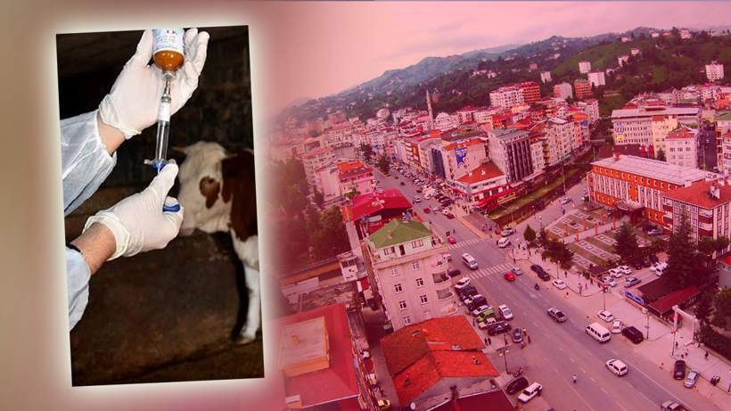 Besicilerin Kabusu Dirildi! 69 Köyde Acil Karantina Başladı, Hayvan Giriş-Çıkışı Artık Yasak