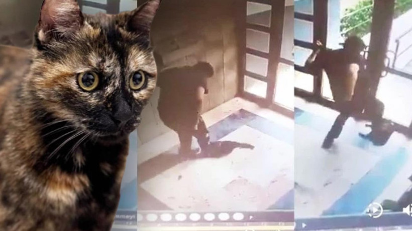 Vahşetin Hesabı Sorulacak! Cezve’yi İşkence Ederek Öldüren Burak Alan Hakkında Dava Açıldı