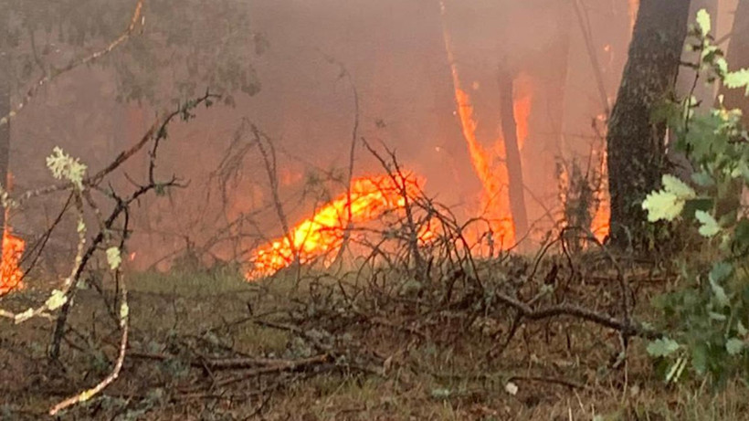 Karabük’te Orman Yangını! Havadan ve Karadan Müdahale Sürüyor
