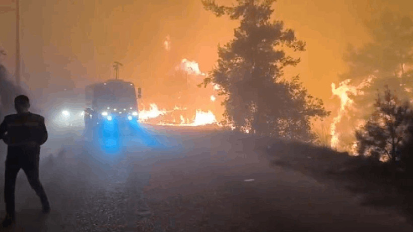 Alanya'da Korkutan Orman Yangını
