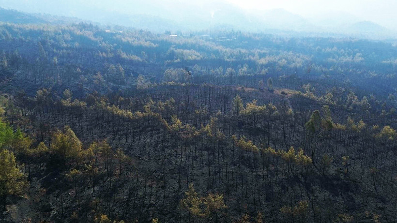 63 Saatlik Kabustan Geriye Kalan... Köyceğiz Artık Kömür Karası