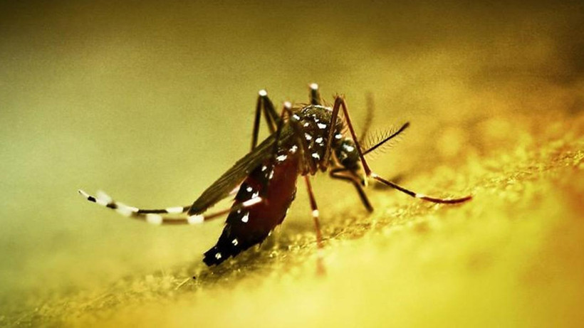 Çin'de Alarm! Halk Sağlığı Acil Durumu İlan Edildi