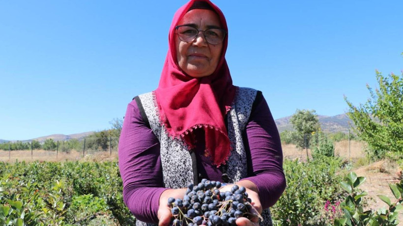 Şifa Bulduğu Meyveyi Üretmek İçin Şehir Değiştirdi