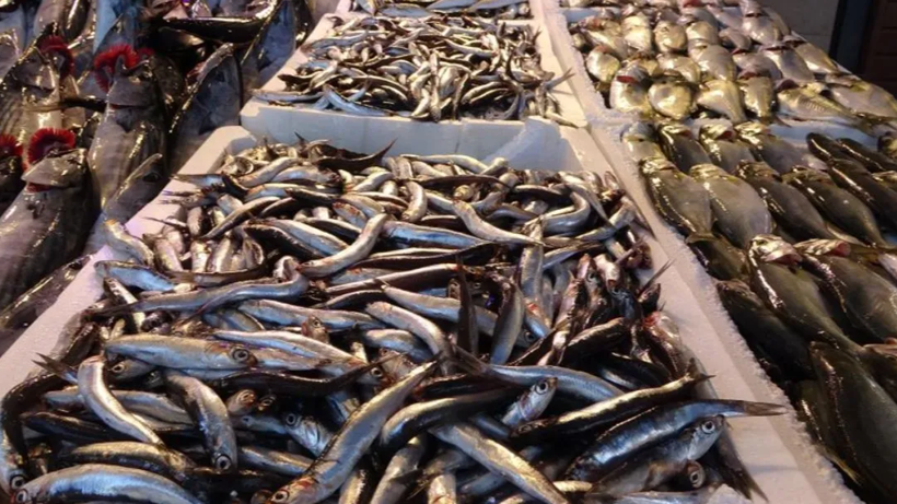 Haftada Kaç Kez Balık Tüketmeli? Uzmanı Açıkladı