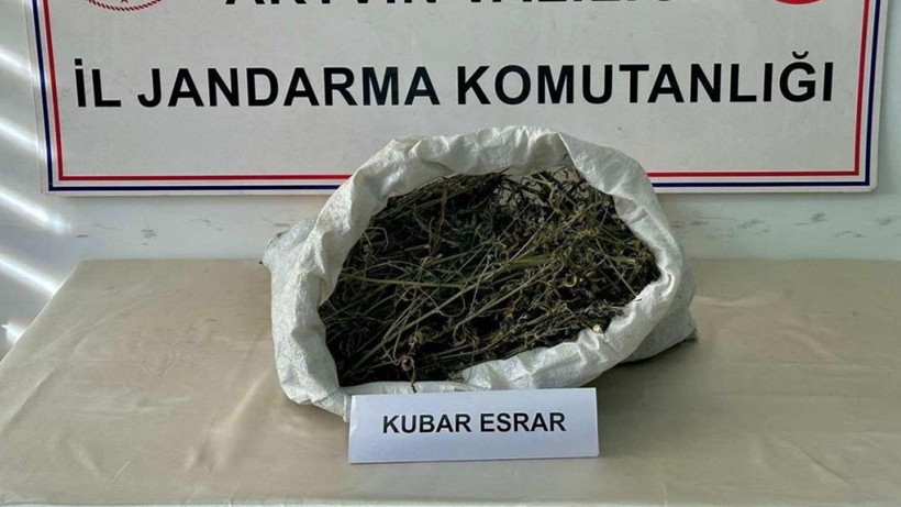 Artvin’de Zehir Tacirlerine Operasyon