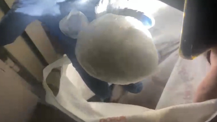 Samsun’da Bodruma Gizlenmiş Uyuşturucu Operasyonu