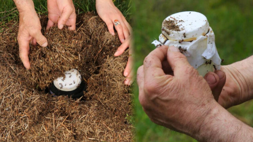9 Bin Yıllık Anadolu Tarifi Yeniden Denendi, Bu Yoğurdun Tadına Bakanlar Şaşkına Dönüyor! Michelin Yıldızlı Restoranın Gözdesi Oldu