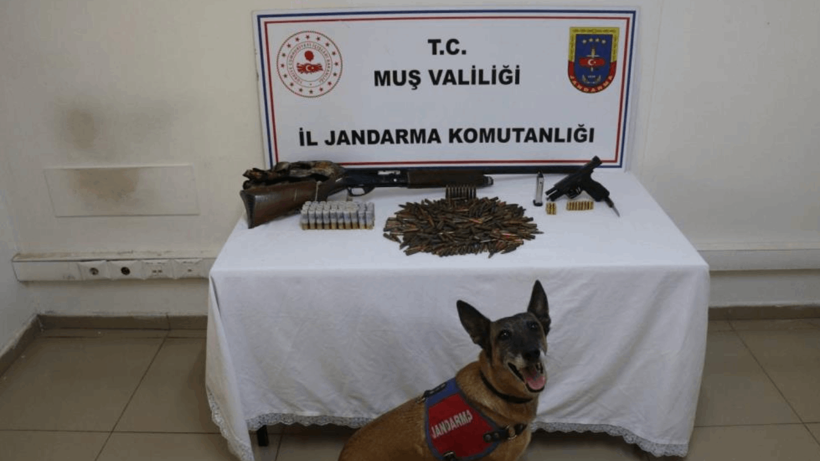 Muş'ta Tezek Yığınından Mühimmat Deposu Çıktı