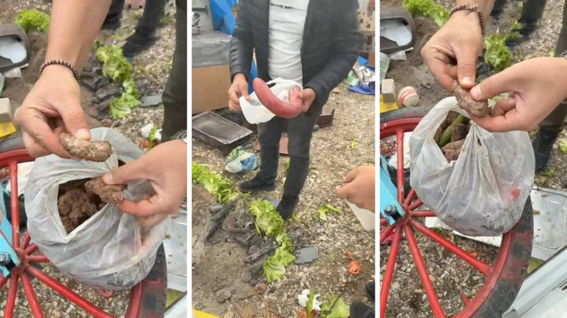 Bursaspor Maçında Gıda Skandalı: Taraftarlara Bozuk Köfte ve Küflü Sucuk Yedireceklerdi