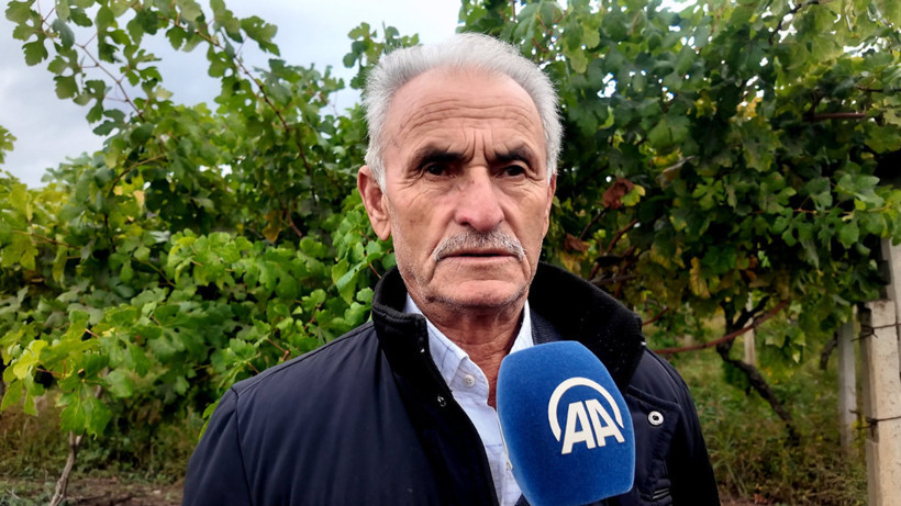 Sakarya'da Üzüm Bahçelerinde Hırsız Nöbeti Başladı