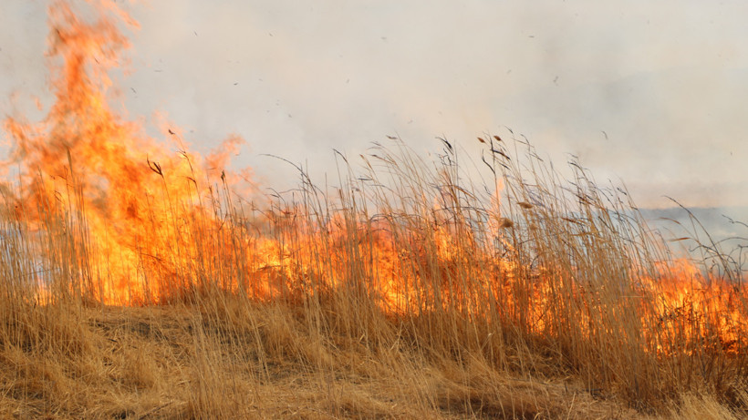 Hakkari Yüksekova'daki Nehil Sazlığı'nda Yangın