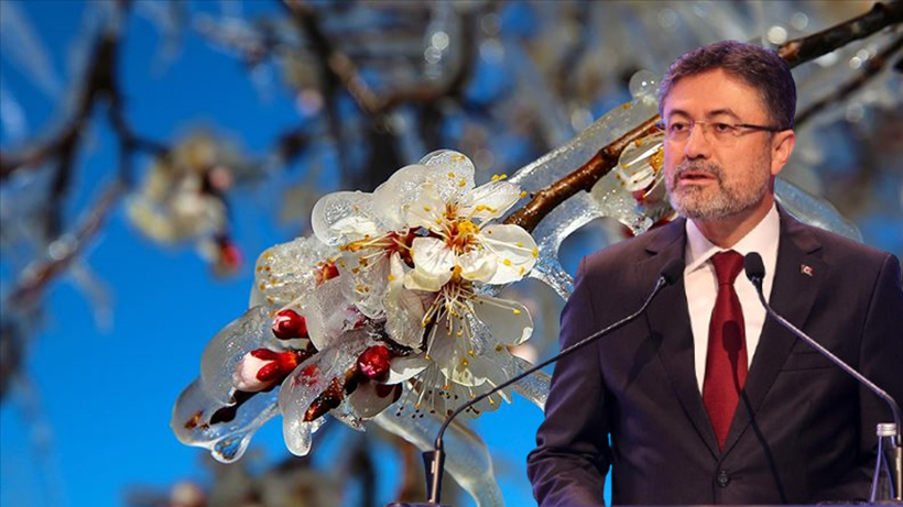 Zirai Don Zararına Dev Destek! Bakan Yumaklı Detayları Paylaştı