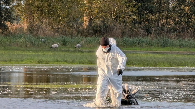 Almanya Diken Üstünde! Korkutan Salgın Kontrolden Çıkıyor