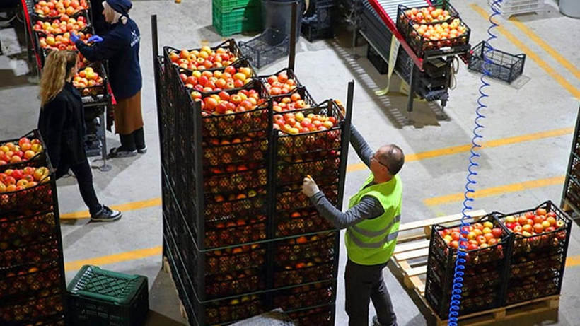 Meyve-Sebze Sektöründe Büyük Firma Konkordato İlan Etti