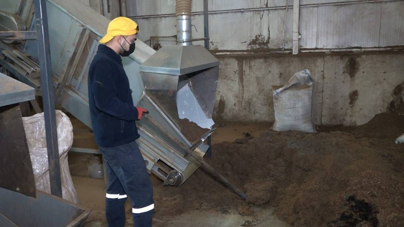 Rize’nin Yeni İhracat Ürününe Yoğun Talep... Çöpü Bile Boşa Gitmiyor, Gürcistan ve Almanya'ya İhraç Ediliyor - Resim: 4