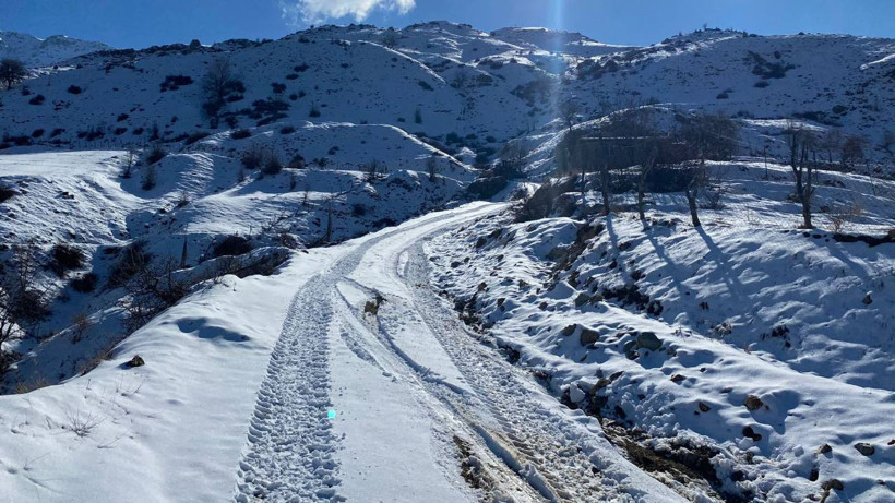 14 Yerleşim Yerinin Yolu Kardan Kapandı - Resim : 1