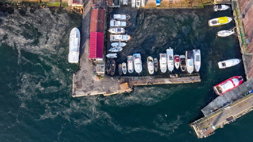 Marmara’da Kabus Geri Döndü, Herkes Diken Üzerinde, 2 Haftada Yayıldı - Resim : 3