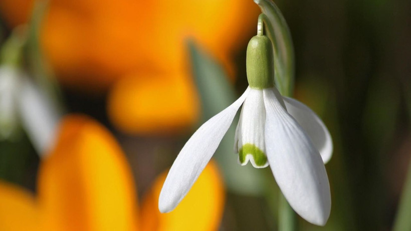 Çiçek Koparmanın Cezasına da Zam Geldi: Dokunan Yandı! Cezası Dudak Uçuklattı - Resim: 2