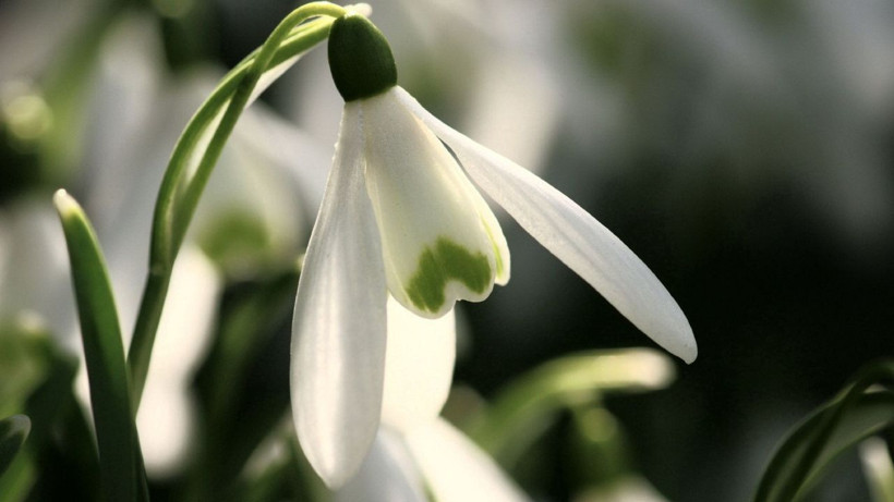 Çiçek Koparmanın Cezasına da Zam Geldi: Dokunan Yandı! Cezası Dudak Uçuklattı - Resim: 3