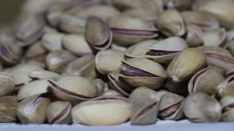 Türkiye'den İhraç Edilen Antep Fıstığından Kanserojen Madde Çıktı: Yunanistan Geri Gönderdi - Resim : 1