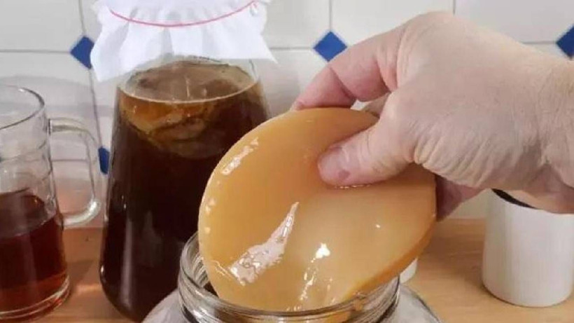 Şekerin Gizli İlacı Diye Biliniyor: Kalbi Saat Gibi Çalıştırıp, Damarlardaki Yağı Temizliyor - Resim: 5