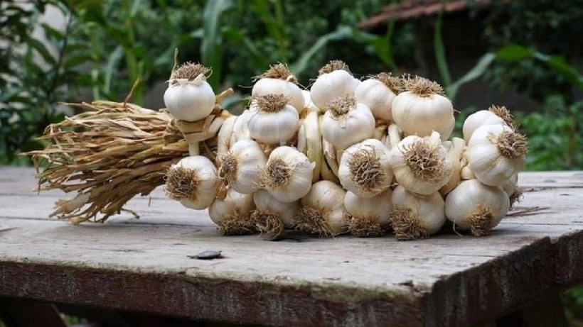 Beyaz Altın Cep Yakıyor, Kilosu 400 TL'den Satılıyor! Vatandaş Artık Taneyle Alıyor - Resim: 5