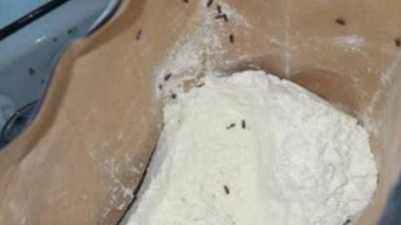 Un Böceklenmesini Tarihe Karıştıracak Basit Yöntem! Anında Bitiriyor - Resim: 4