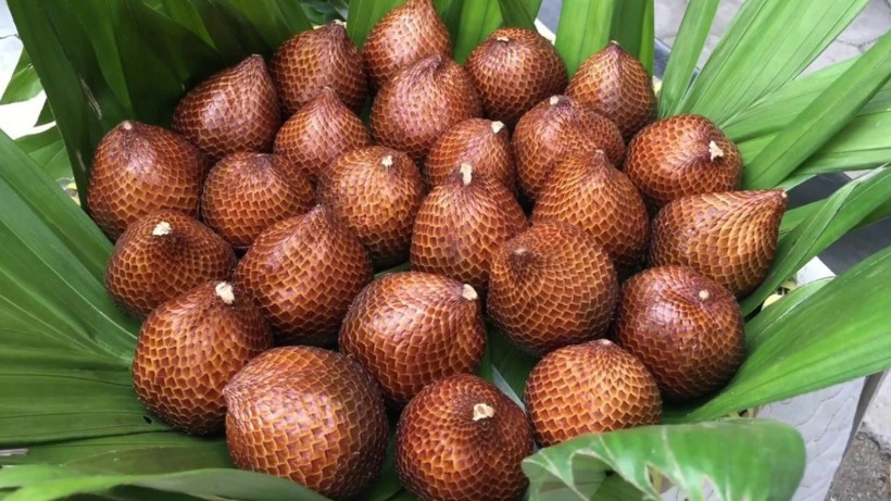 Japonların ‘Salak Meyvesi’ Tam Bir Ölümsüzlük İksiri! Türkler Yüzüne Bakmıyor: Faydası Saymakla Bitmiyor - Resim: 2