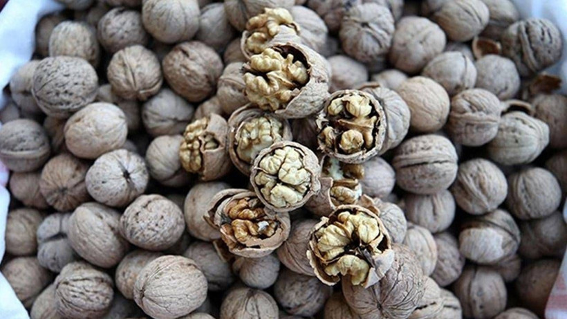 Çin Kestanesinden Sonra Yeni Tehlike Çin Cevizi! Rengi Böyleyse Sakın Almayın - Resim: 3