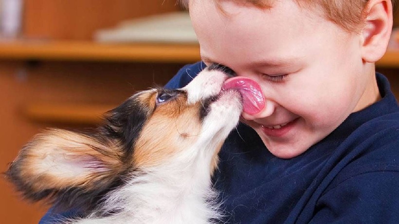 Köpeklerin Sahibini Yalamasının Nedeni Ortaya Çıktı: Aslında Bunu Söylemek İstiyor - Resim: 2