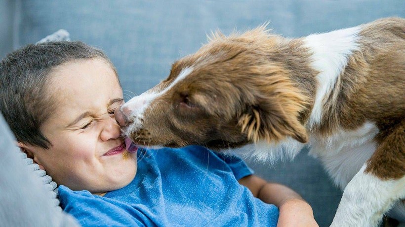 Köpeklerin Sahibini Yalamasının Nedeni Ortaya Çıktı: Aslında Bunu Söylemek İstiyor - Resim: 1
