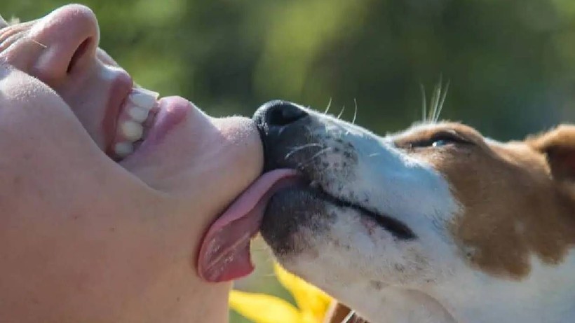 Köpeklerin Sahibini Yalamasının Nedeni Ortaya Çıktı: Aslında Bunu Söylemek İstiyor - Resim: 3