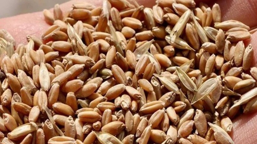 Gülek Ne demek? Gülek Ne Anlama Geliyor? - Resim: 1
