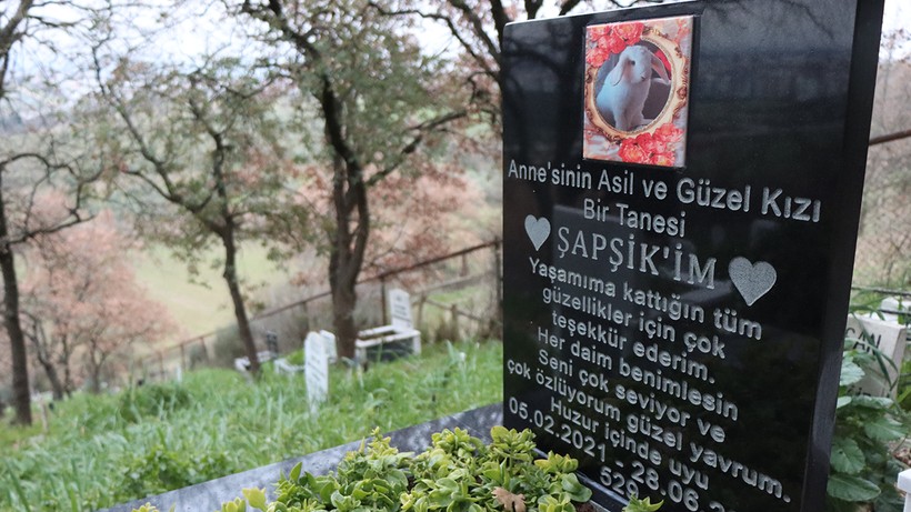 Görenlerin Yüreğini Parçalayan Notlar… Evcil Dostlara En Acı Vedalar - Resim : 2