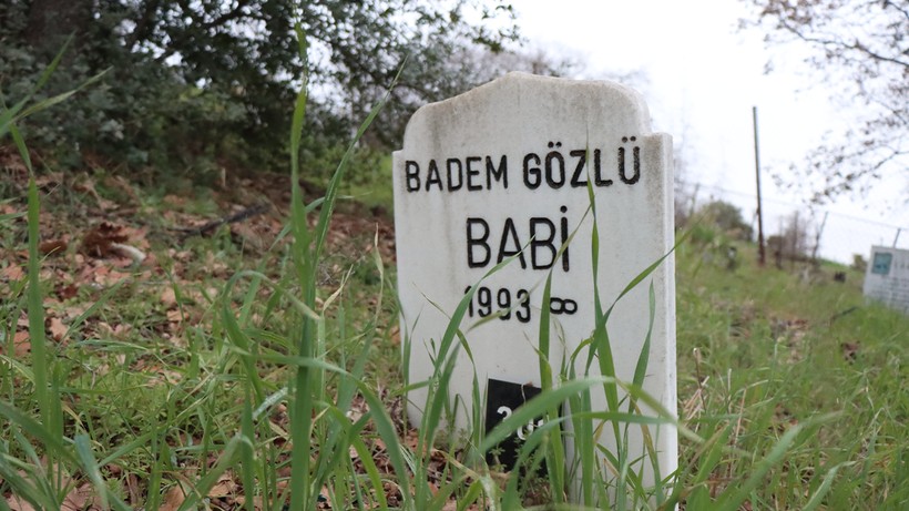 Görenlerin Yüreğini Parçalayan Notlar… Evcil Dostlara En Acı Vedalar - Resim : 3