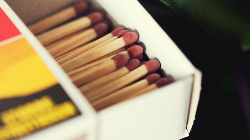 Mart Ayı Bitmeden Saksılarınıza ve Bahçenize Kibrit Saplayın! Baş Belası Olan O Sorundan Kurtulacaksınız - Resim: 3