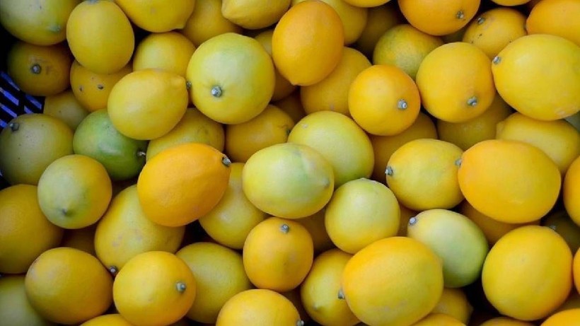 Limonun Foşur Foşur Sulanmasını Sağlayan Yöntem Ortaya Çıktı: Aşçılar Yıllar Sonra İtiraf Etti - Resim: 1