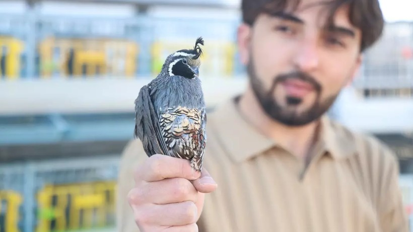 Yurt Dışından Köyüne Getirterek Başladı, Taleplere Yetişemiyor! 4 Bin Liradan Satıyor, Görenler Hayran Kalıyor - Resim: 1