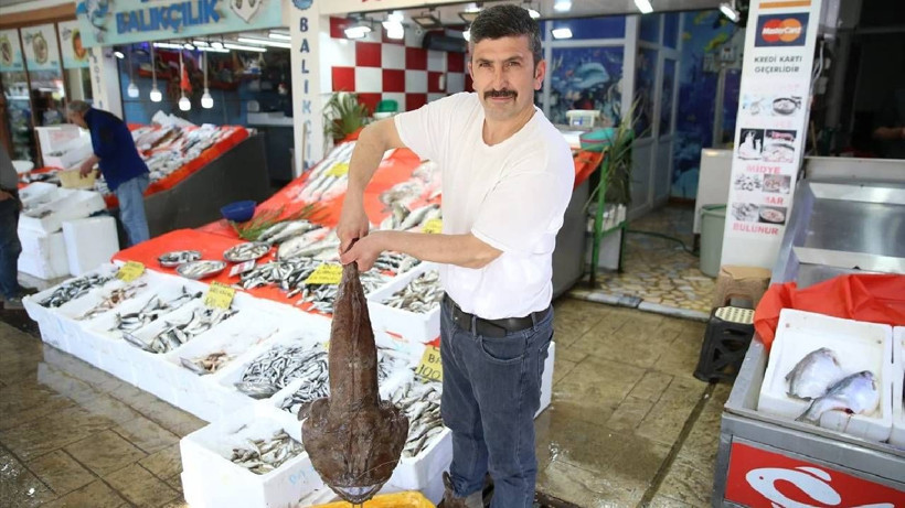 Fiyatı Altınla Yarışıyor, Bulan Zengin Oluyor: Tanesi 3 Bin 250 TL'den Satılıyor - Resim: 1