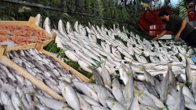 Ne Hamsi Ne de Palamut! Tezgahların Yeni Gözdesi Bu Balıklar, Kilosu 125 Liradan Satılıyor - Resim: 1