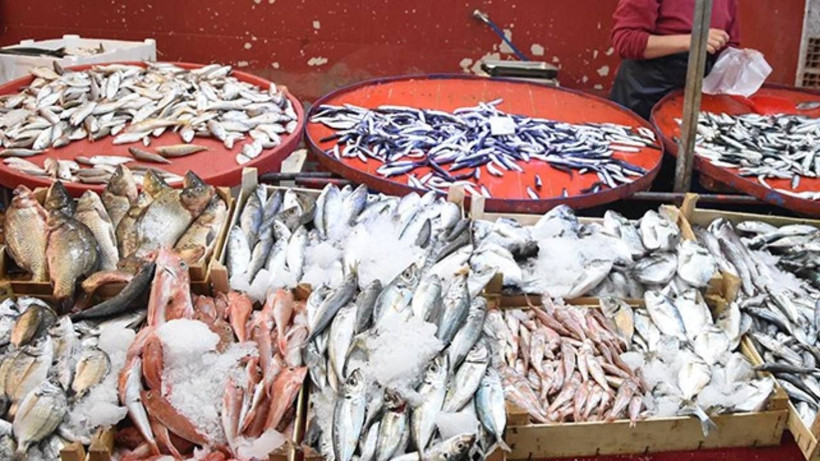 Ne Hamsi Ne de Palamut! Tezgahların Yeni Gözdesi Bu Balıklar, Kilosu 125 Liradan Satılıyor - Resim: 2