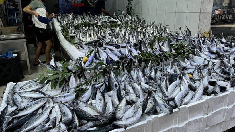 Ne Hamsi Ne de Palamut! Tezgahların Yeni Gözdesi Bu Balıklar, Kilosu 125 Liradan Satılıyor - Resim: 3