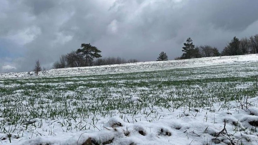 Kastamonu'da 12 Bin Yıllık Hasat! Kar Yağışı Umutları Artırdı, Rekor Olacak - Resim: 1